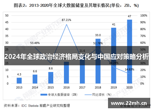 2024年全球政治经济格局变化与中国应对策略分析