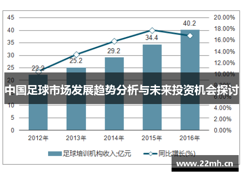 中国足球市场发展趋势分析与未来投资机会探讨